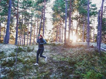 Mammal, Outdoor recreation, People in nature, Running, Jogging, Active pants, Exercise, Forest, Grove, Woodland, 