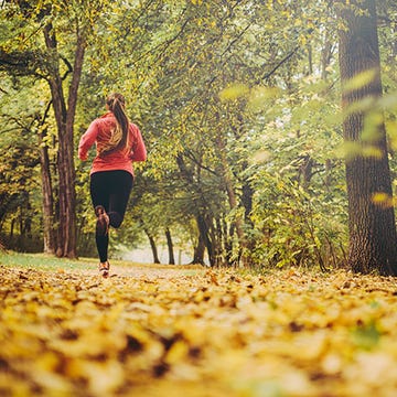 Nature, Deciduous, Leaf, Tree, People in nature, Sunlight, Woody plant, Forest, Autumn, Running, Nature, Deciduous, Leaf, Tree, People in nature, Sunlight, Woody plant, Forest, Autumn, Running,