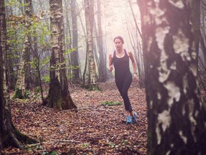 People in nature, Forest, Active pants, Deciduous, Woodland, Trunk, Grove, Old-growth forest, Northern hardwood forest, Autumn, 