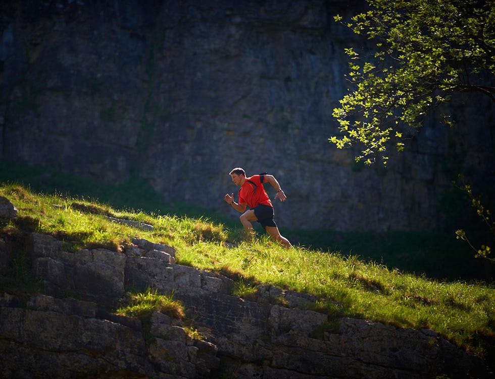 People in nature, Nature, Light, Grass, Landscape, Recreation, Adventure, Sunlight, Night, Plant, 