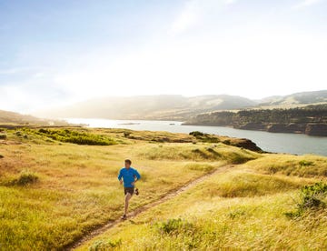 Grass, Mountainous landforms, Landscape, Highland, Grassland, People in nature, Hill, Trail, Walking, Coast, 