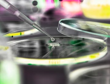 Green, Colorfulness, Liquid, Macro photography, 