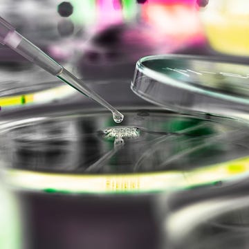 Green, Colorfulness, Liquid, Macro photography, Green, Colorfulness, Liquid, Macro photography,