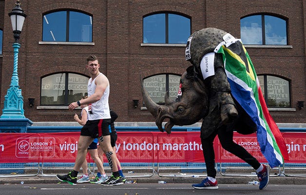 Running, Recreation, Sports, Athlete, Individual sports, Marathon, Exercise, Textile, Architecture, Art, 