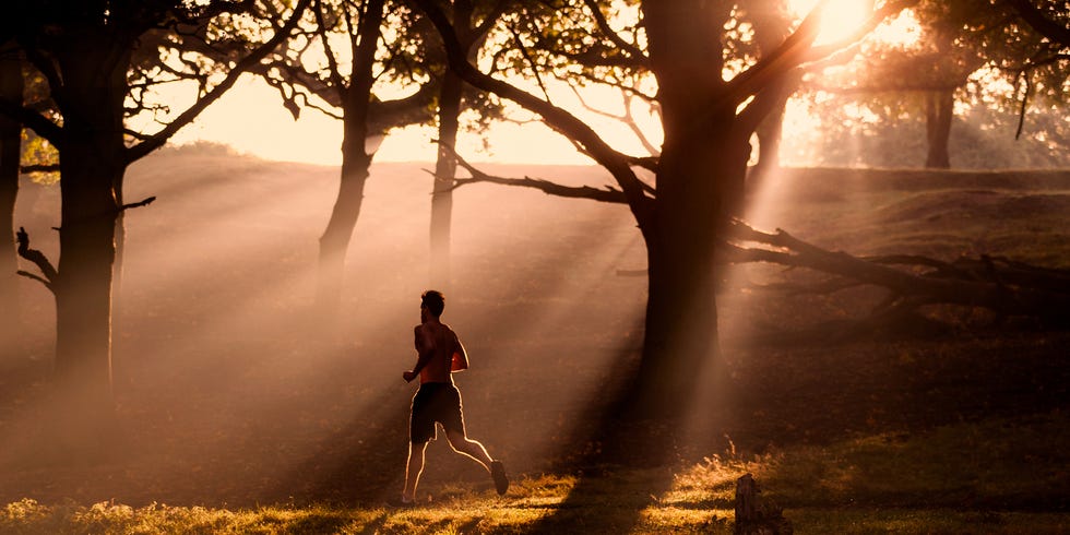 People in nature, Nature, Sunlight, Morning, Atmospheric phenomenon, Light, Tree, Branch, Sky, Photography, People in nature, Nature, Sunlight, Morning, Atmospheric phenomenon, Light, Tree, Branch, Sky, Photography,