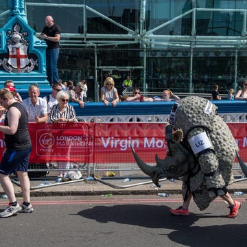 Marathon, Running, Recreation, Crowd, Pedestrian, Muscle, Exercise, Street, Long-distance running, Sports, Marathon, Running, Recreation, Crowd, Pedestrian, Muscle, Exercise, Street, Long-distance running, Sports,
