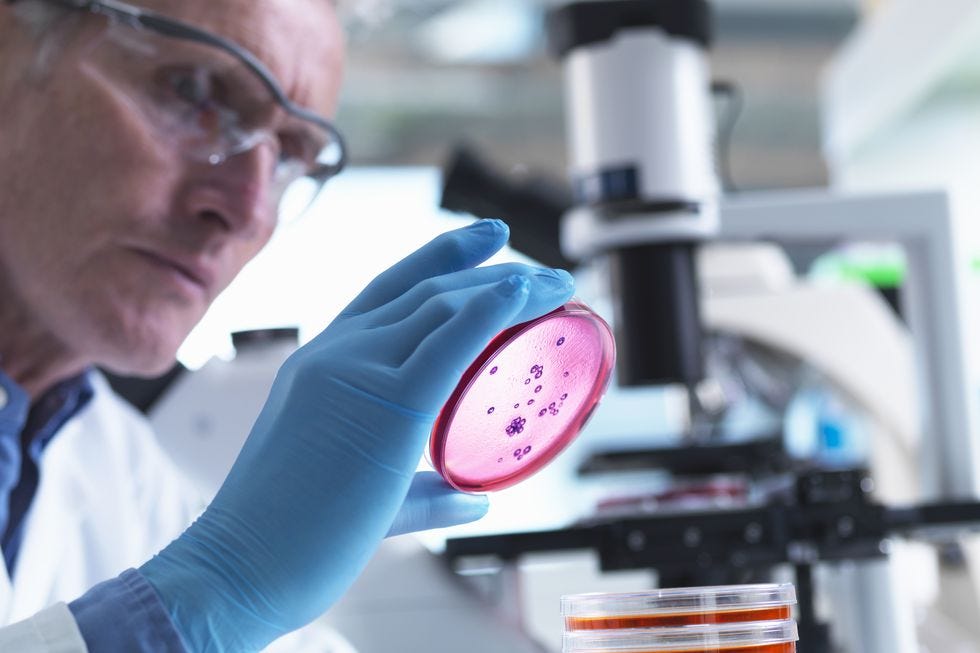 Research, Scientific instrument, Laboratory, Shooting sport, Science, Recreation, Optical instrument, Chemist, Microscope, Researcher, 