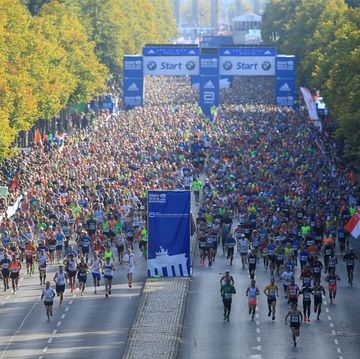 marathon, crowd, people, long distance running, running, recreation, athletics, half marathon, exercise, tree,