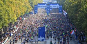 marathon, crowd, people, long distance running, running, recreation, athletics, half marathon, exercise, tree,