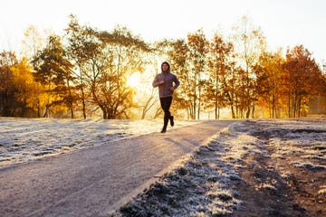 People in nature, Photograph, Sky, Natural landscape, Tree, Light, Sunlight, Morning, Yellow, Jogging, 