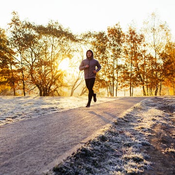 People in nature, Photograph, Sky, Natural landscape, Tree, Light, Sunlight, Morning, Yellow, Jogging, People in nature, Photograph, Sky, Natural landscape, Tree, Light, Sunlight, Morning, Yellow, Jogging,