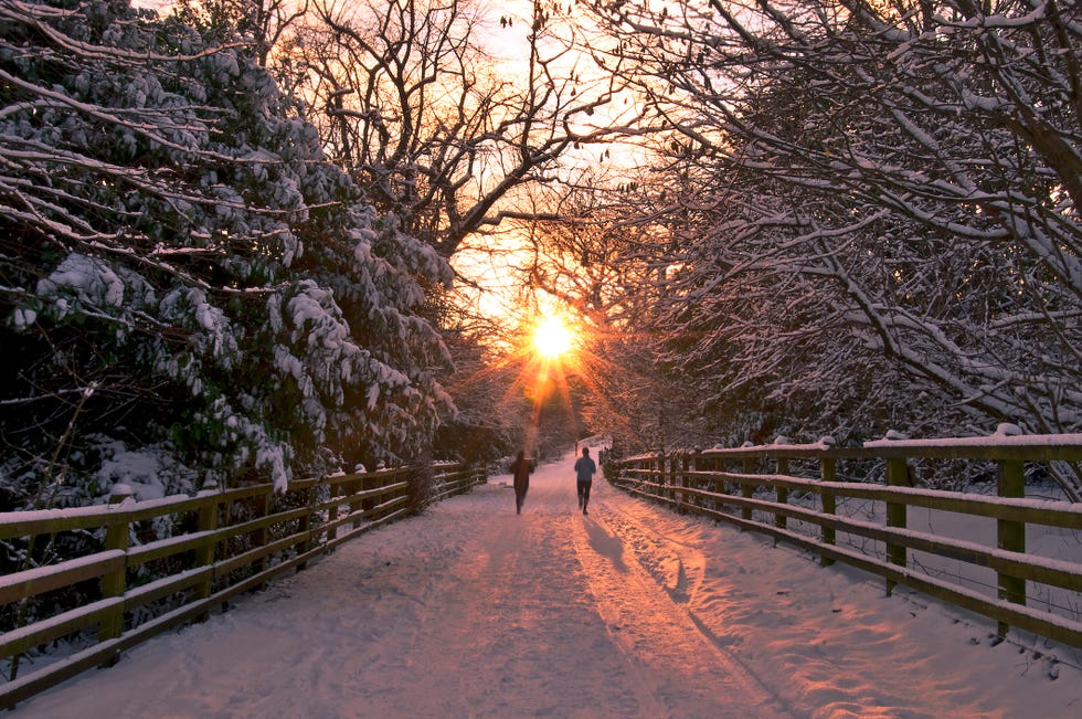 Snow, Winter, Nature, Tree, Sky, Freezing, Natural landscape, Morning, Light, Branch, 