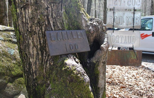 tree, plant, trunk, sign, state park, rock,