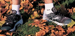 Leaf, Photograph, Orange, Annual plant, Boot, Deciduous, 