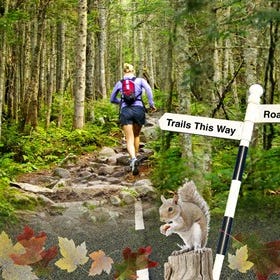 Nature, Natural environment, People in nature, Forest, Nature reserve, Old-growth forest, Biome, Wilderness, Terrestrial plant, Squirrel, Nature, Natural environment, People in nature, Forest, Nature reserve, Old-growth forest, Biome, Wilderness, Terrestrial plant, Squirrel,