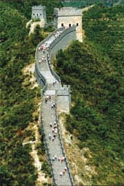 Nature, Road, Vegetation, Green, Mode of transport, Property, Neighbourhood, Road surface, Infrastructure, Urban area, 