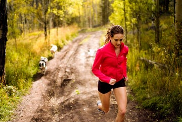 People in nature, Trail, Green, Running, Outdoor recreation, Natural landscape, Recreation, Yellow, Tree, Forest, 