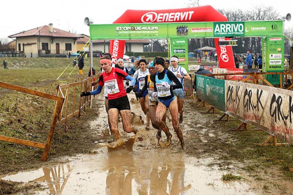 cross country