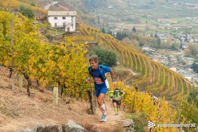 Valtellina Wine Trail