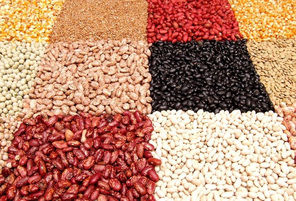 egumi surgelati non perdono le caratteristiche nutrizionali