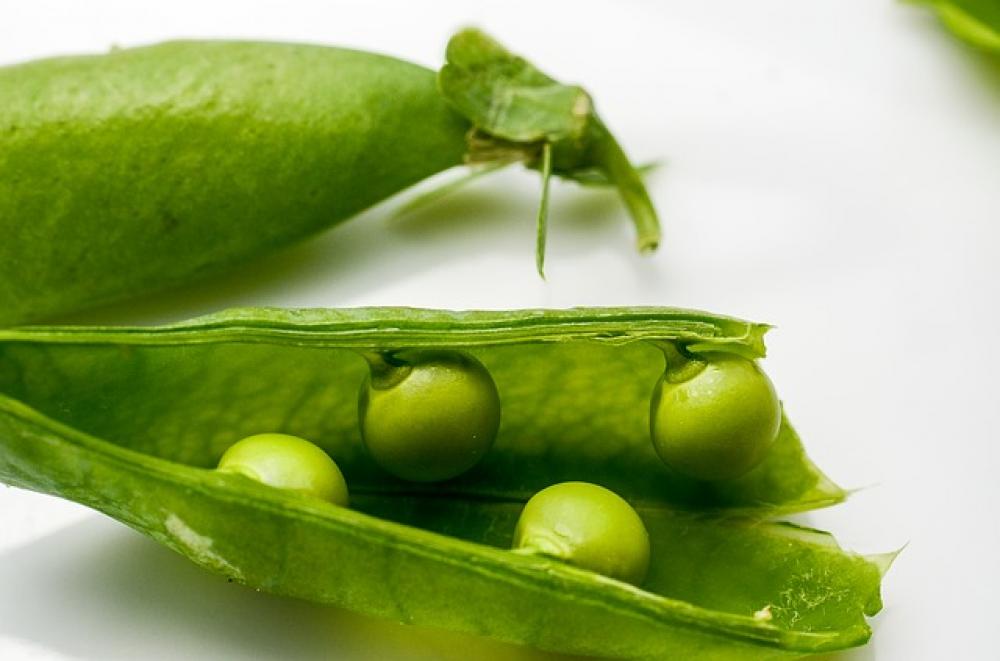 legumi sono presenti nel primo ricettario della storia della cucina