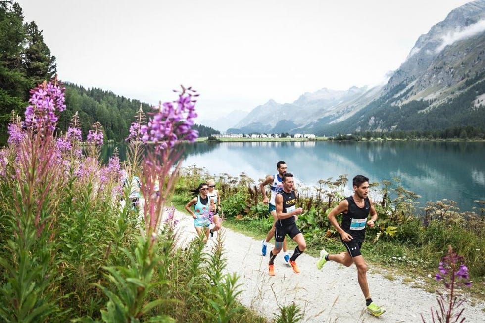 engadiner sommerlauf