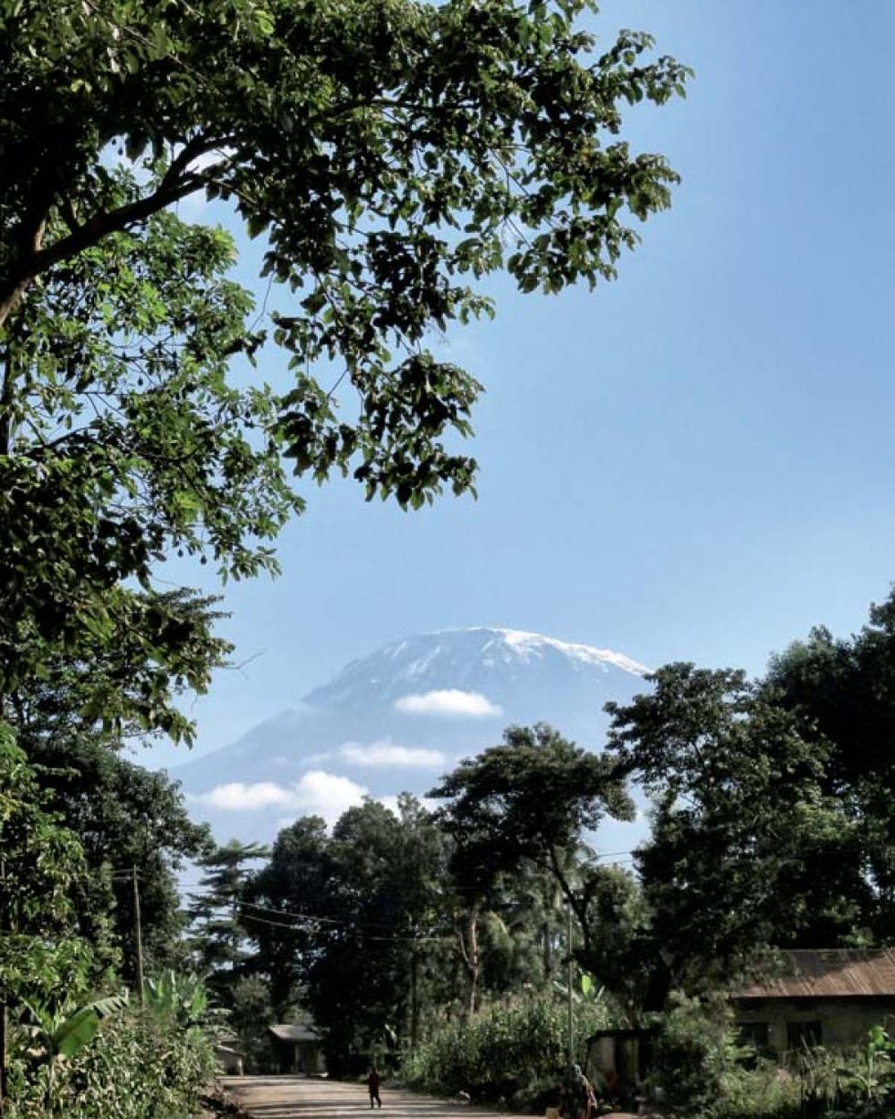 Vista del Kilimangiaro da Moshi (foto Dino Bonelli)