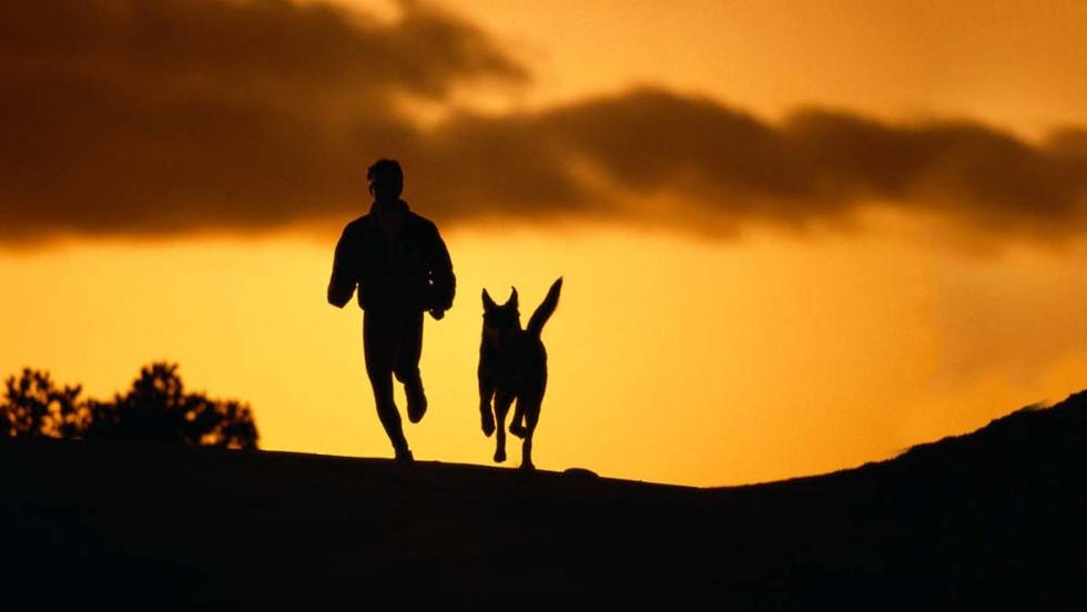 dalla camminata veloce al canicross, contro sedentarietagrave e pigrizia il cane egrave lo sparring partner perfetto, la molla che ci spinge a uscire anche se non ne abbiamo voglia, e ad allargare il nostro giro di amicizie