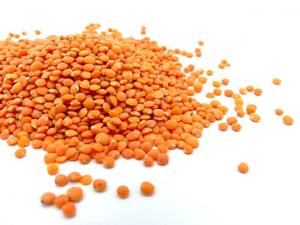 ARANCIONI Di taglia &ldquo;small&rdquo;, tenere e saporite, sono conosciute anche col nome di lenticchie egiziane per via della loro origine. Tendono a &ldquo;disfarsi&rdquo; durante la cottura e sono consigliate per zuppe e stufati.