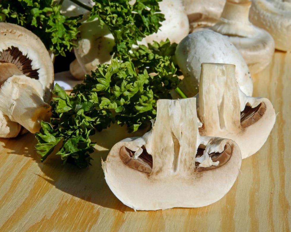 funghi