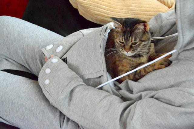 taylor swift cat hoodie