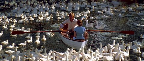 The Notebook Bird Scene