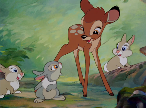 Here's Video Evidence That Bambi and Thumper Are Besties IRL!