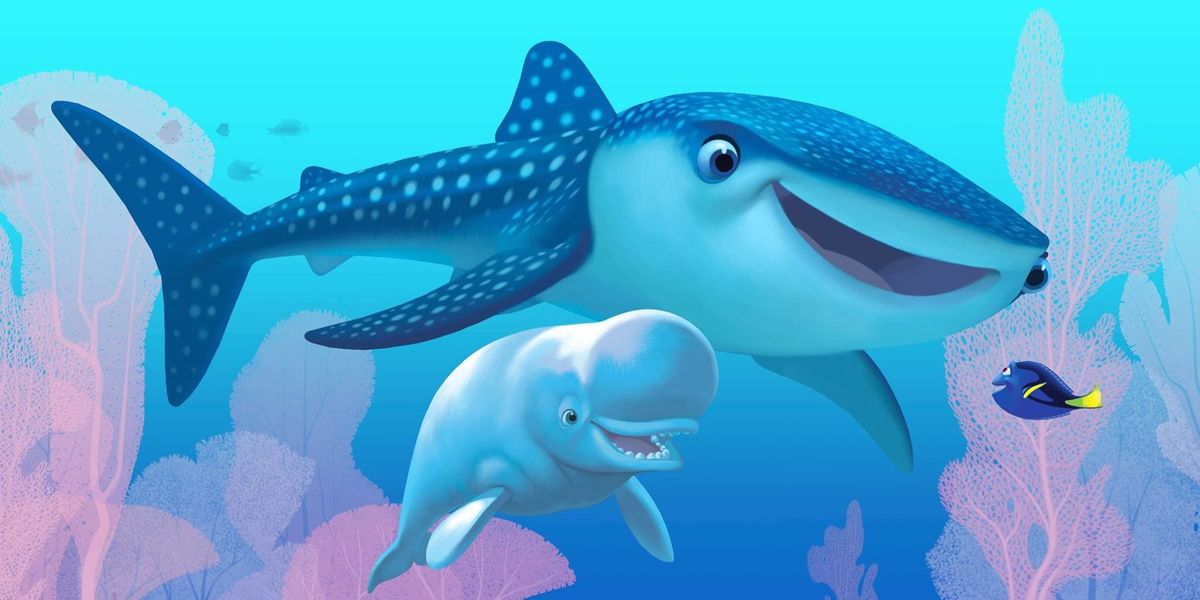 Meet Two New Characters From The Finding Nemo Sequel Finding Dory