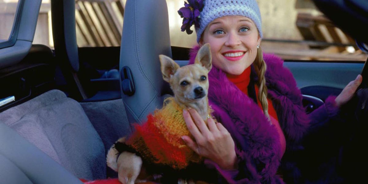 Elle Woods' Dog from "Legally Blonde" Bruiser Woods Has Passed Away