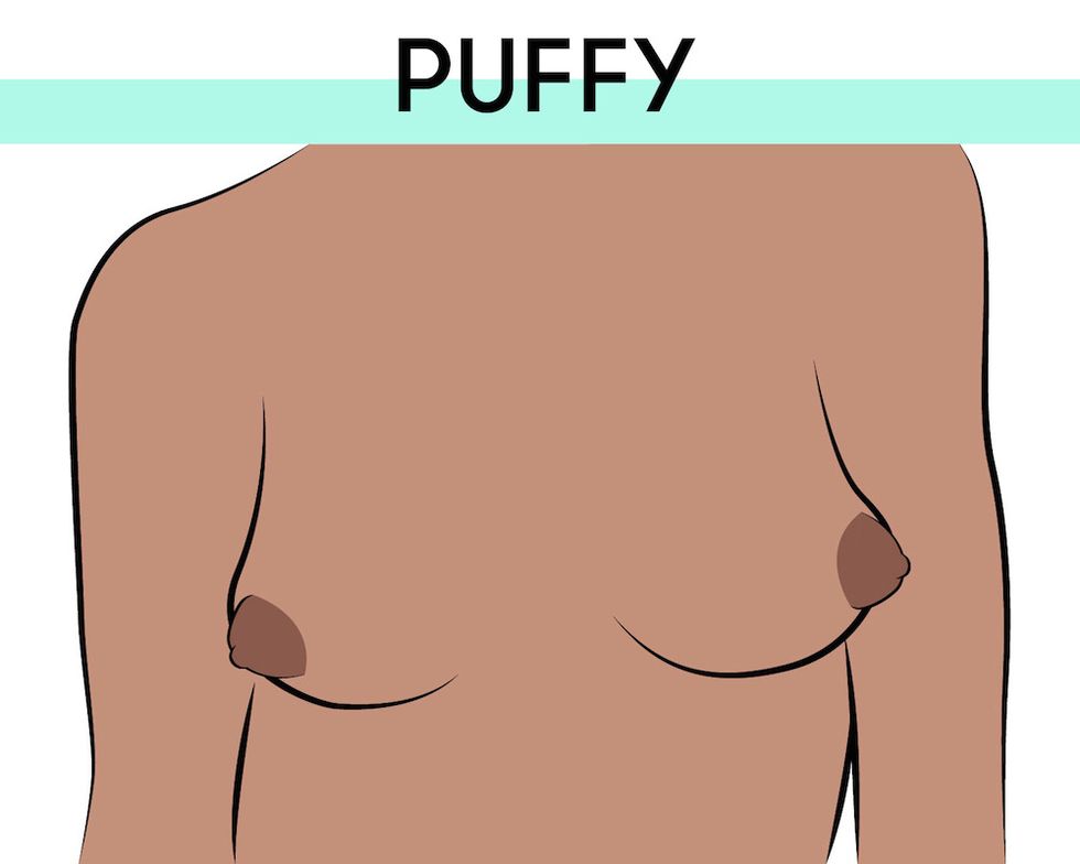 Brown, Skin, Shoulder, Joint, Orange, Muscle, Tan, Chest, Animation, Neck, 