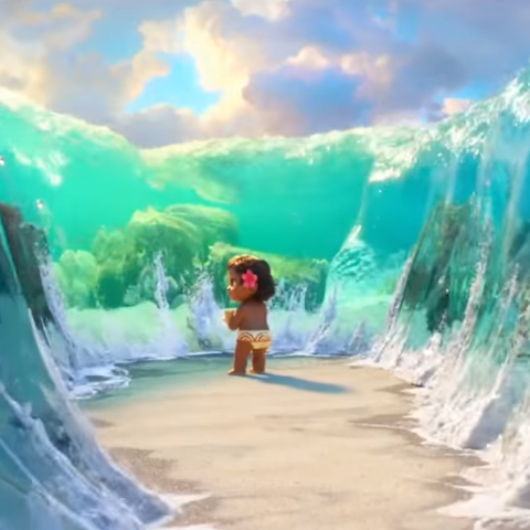 MOANA png images | PNGEgg