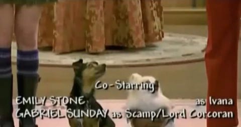 images Emma Stone Movies Suite Life suite life of zack cody