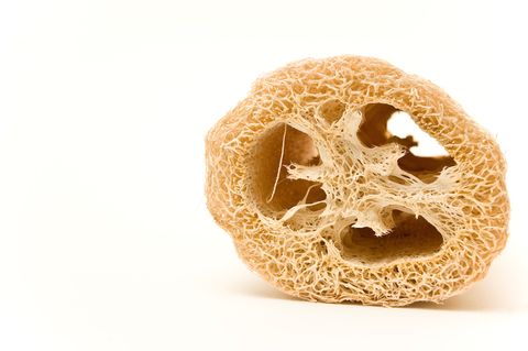 Beige, Natural material, Bone, Still life photography, Macro photography, 