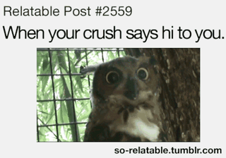 what to do if my best friend is dating my crush