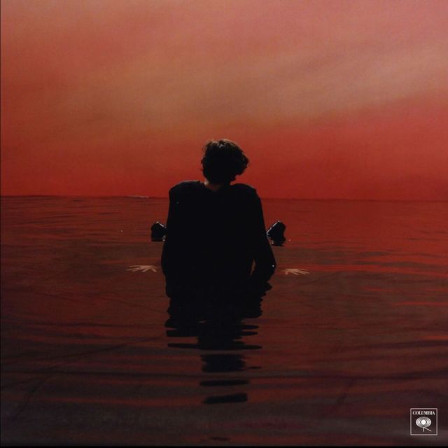 Harry Styles Sign of the Times
