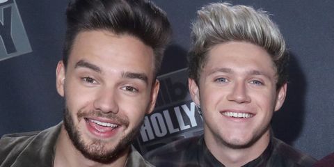 Liam Payne and Niall Horan Reunited Over the Weekend and It Was So ...