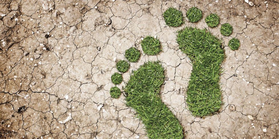 carbon-footprint-quiz-how-big-is-your-carbon-footprint