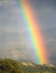 Be a Rainbow