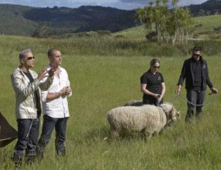 Human, Grassland, Sheep, Farm, Highland, Pasture, Sheep, Rural area, Hill, Hay, 