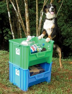 a dog jumping next to recycle bins