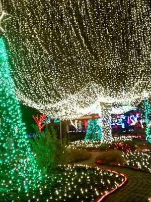 Green, Christmas decoration, Light, Holiday, Christmas, Christmas lights, Holiday ornament, Ornament, Christmas ornament, Festival, 