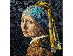 girl with a pearl earring jane perkins