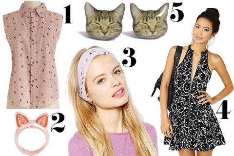 cat print clothes and accessories