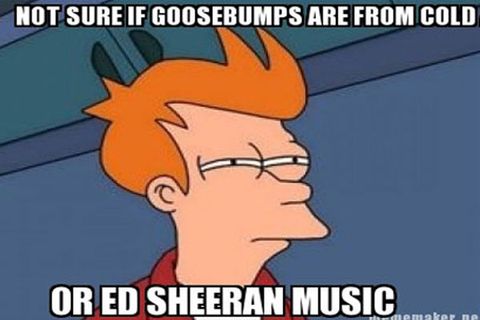 Ed Sheeran Meme